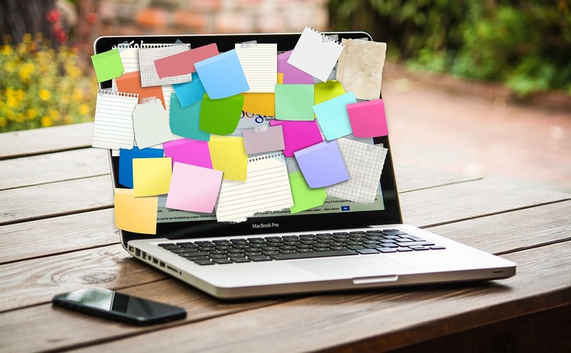 Career Transition Strategies