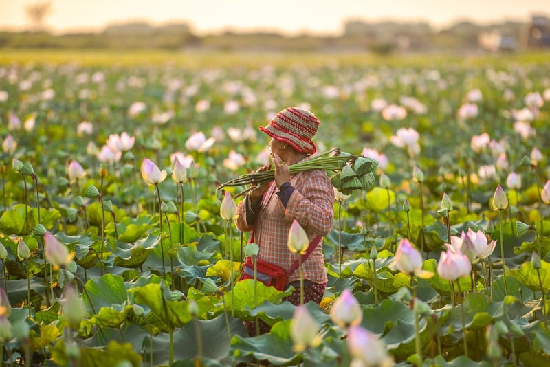 Urban Farmer